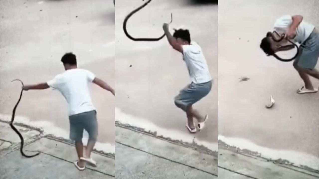 Man Play With Snake