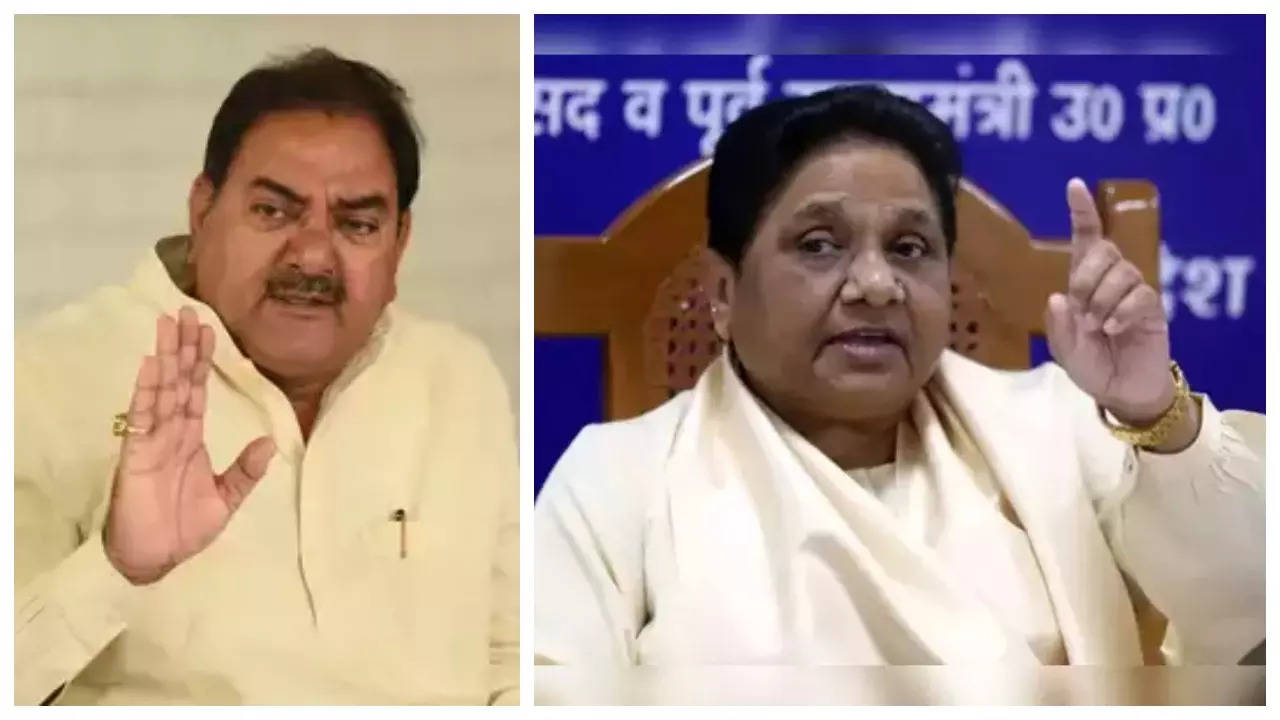 inld bsp in haryana assembly election