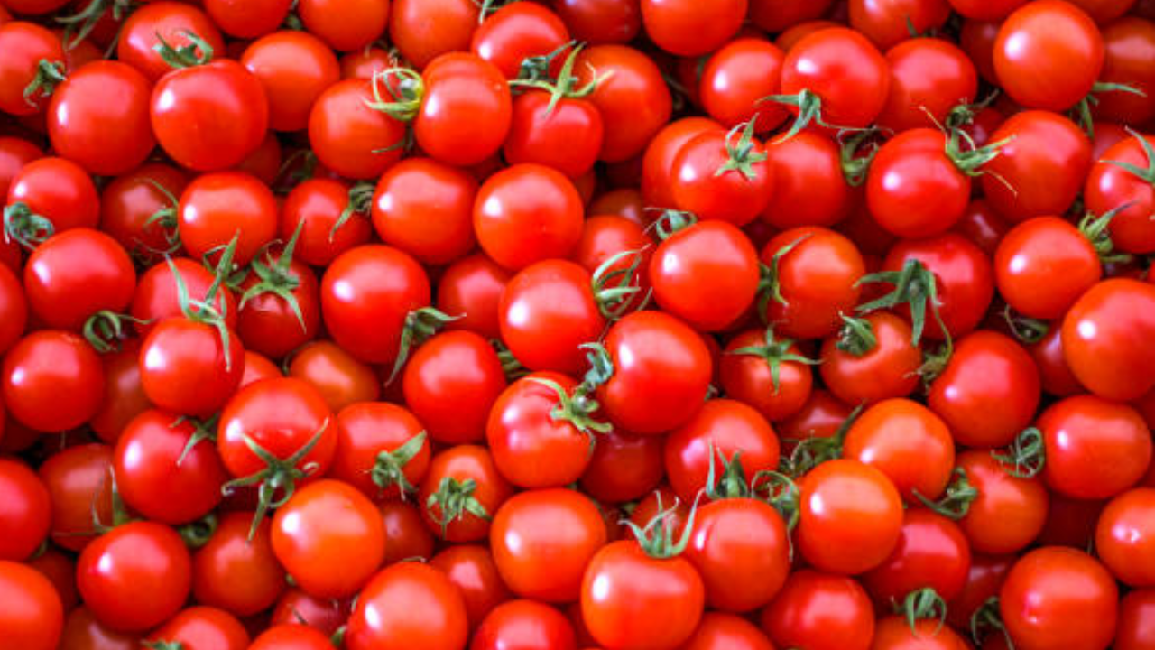 Tomato price in Delhi