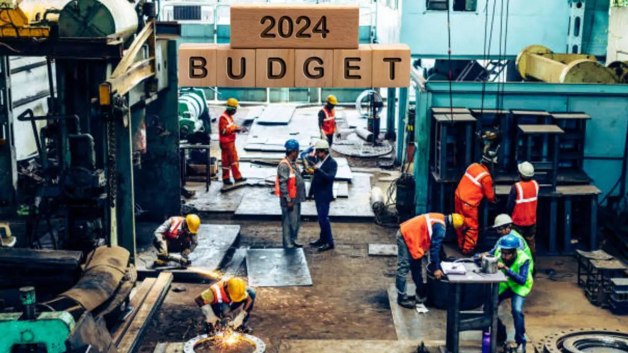 budget 2024 expectations