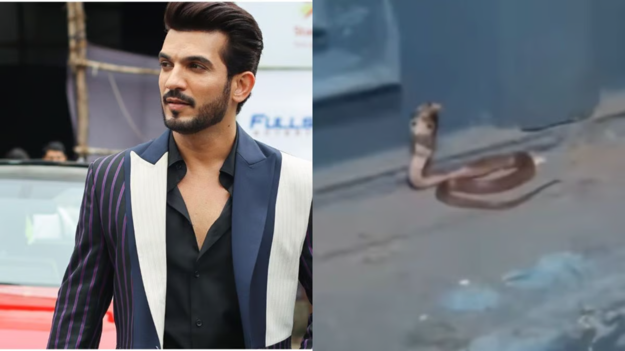 शिव शक्ति के सेट पर दिखा असली सांप, फन फैलाएं नाग को देख उड़े Arjun Bijlani के होश