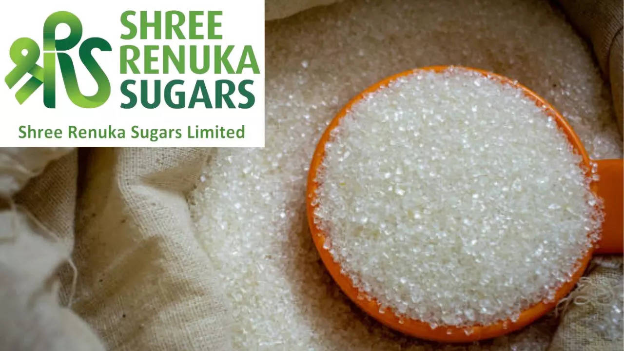 Shree Renuka Sugars Share Price Target