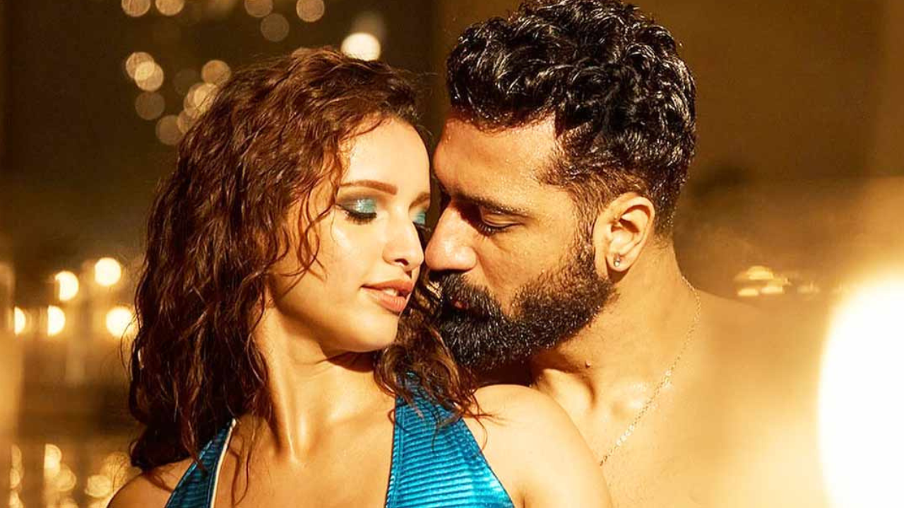 Triptii Dimri and Vicky Kaushal