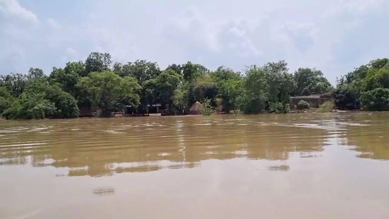 hardaoi flood