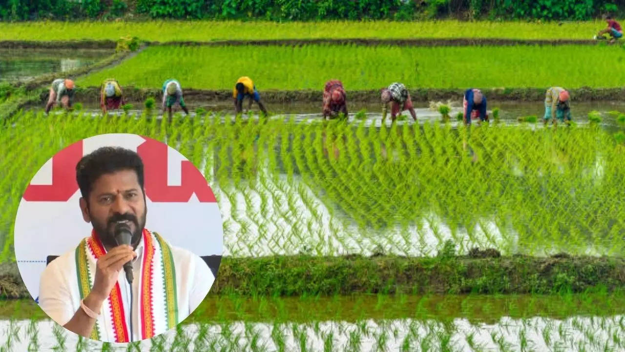 Farm Loan Waiver