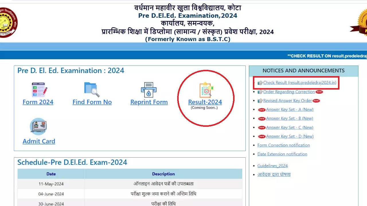 Rajasthan Pre DElEd Result 2024 Link