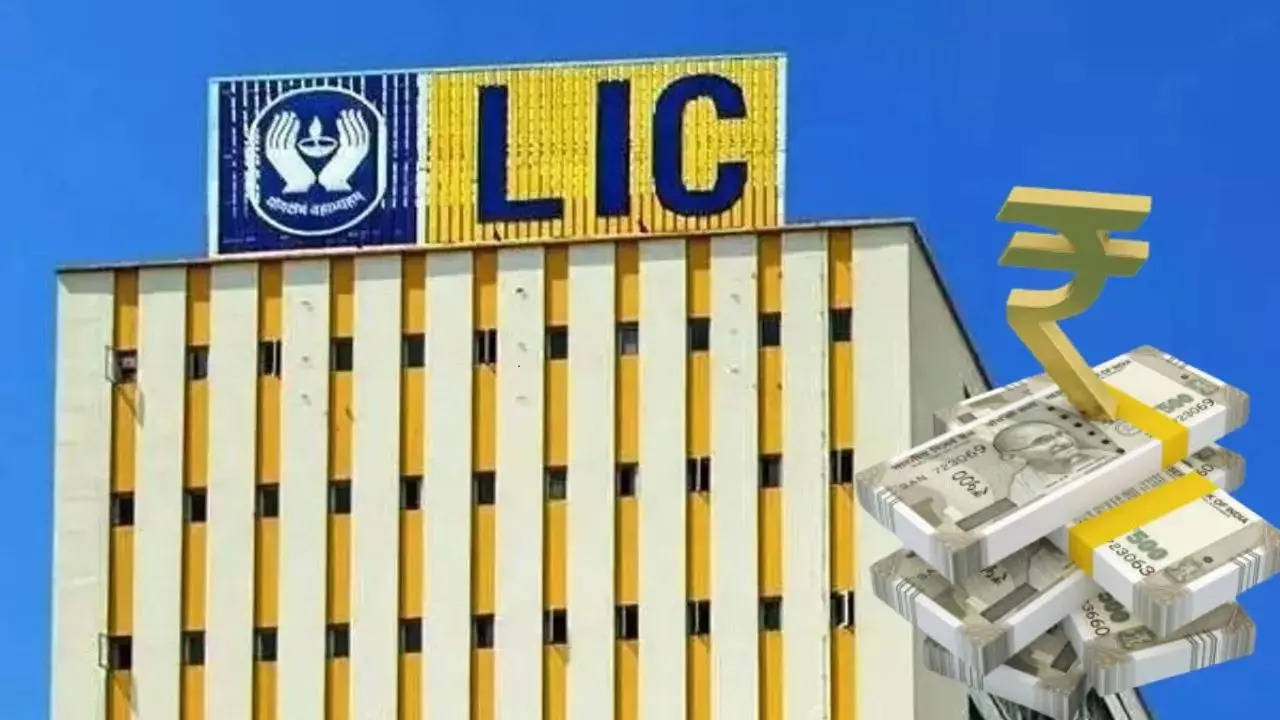 ​LIC Share Return