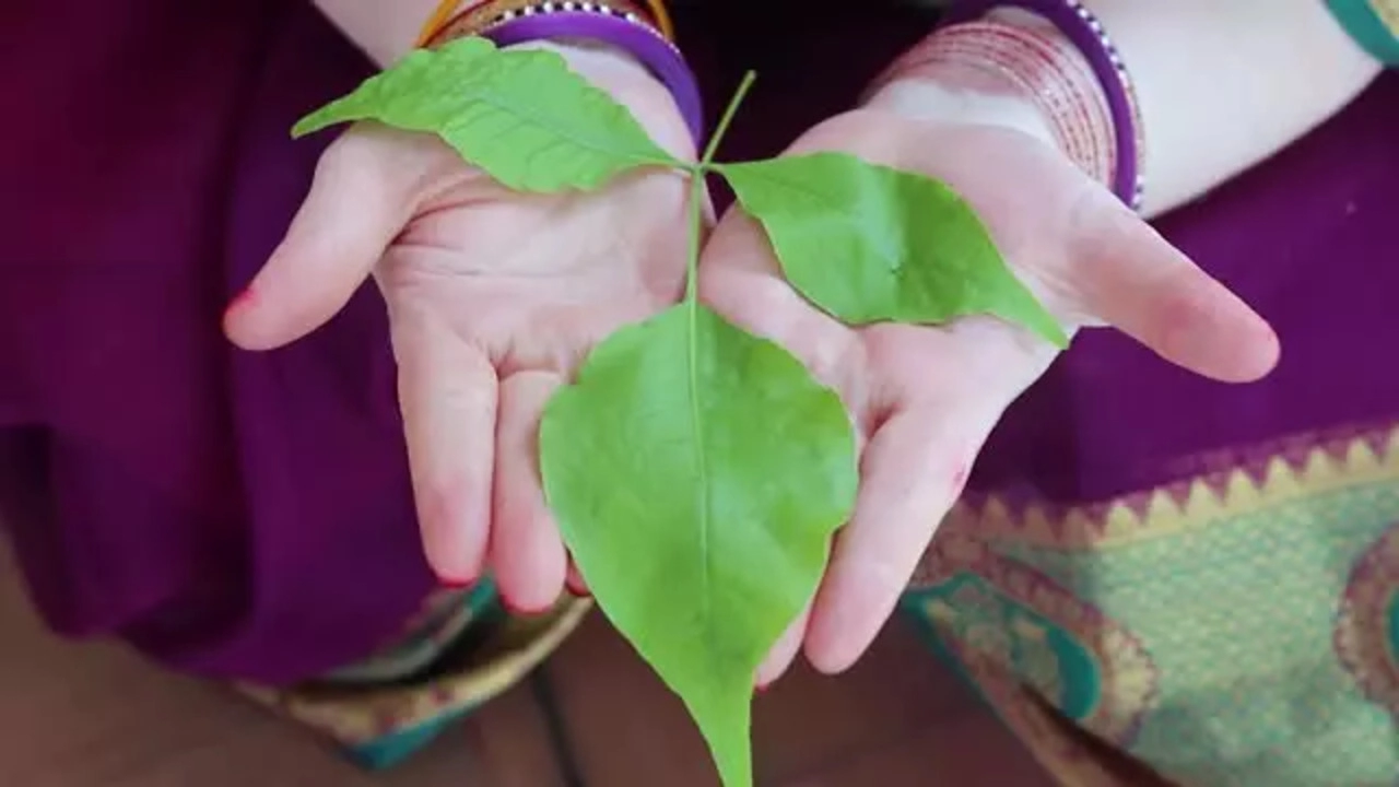 Green Leaves Are Dear To Lord Shiva