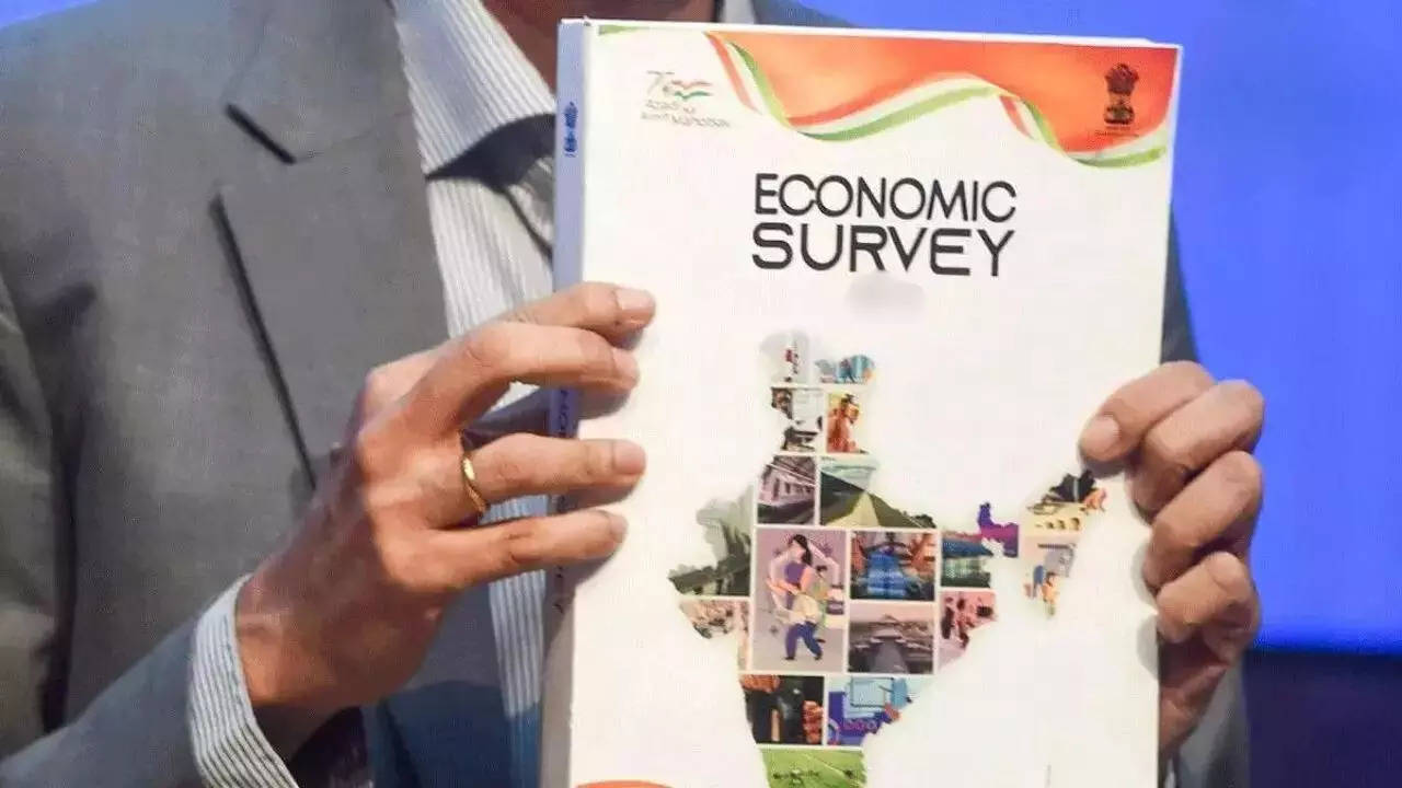 economic survey