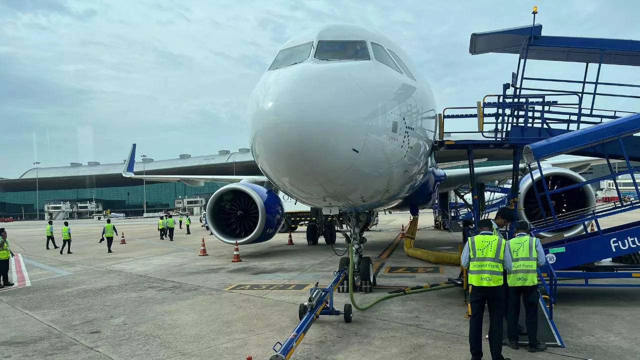 Bees attack on flight