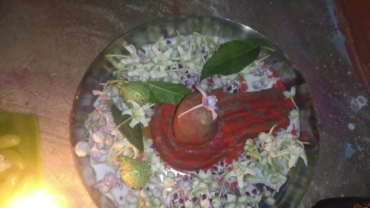 Parthiv shivling puja vidhi