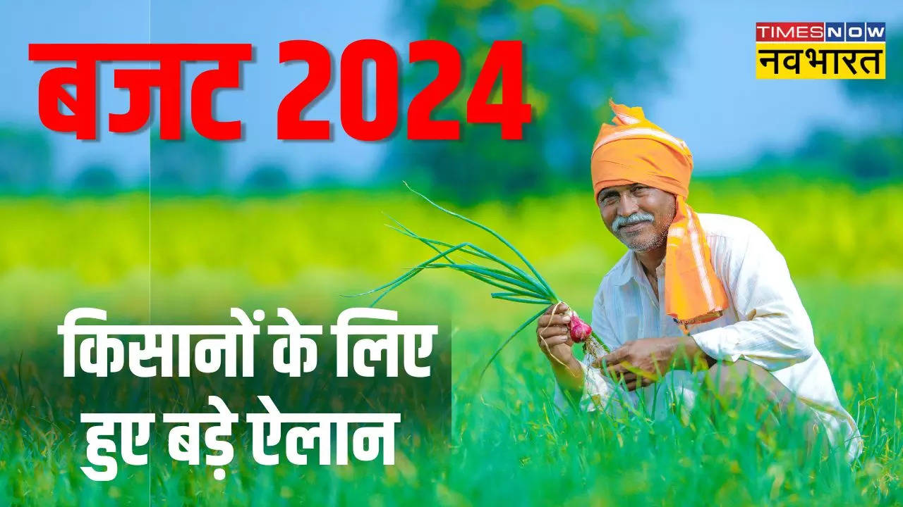 Budget 2024 For Agriculture Sector