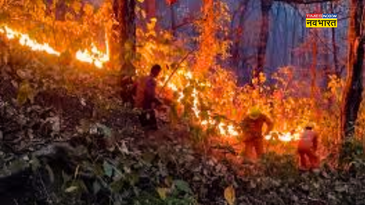 Uttarakhand forest fires Case