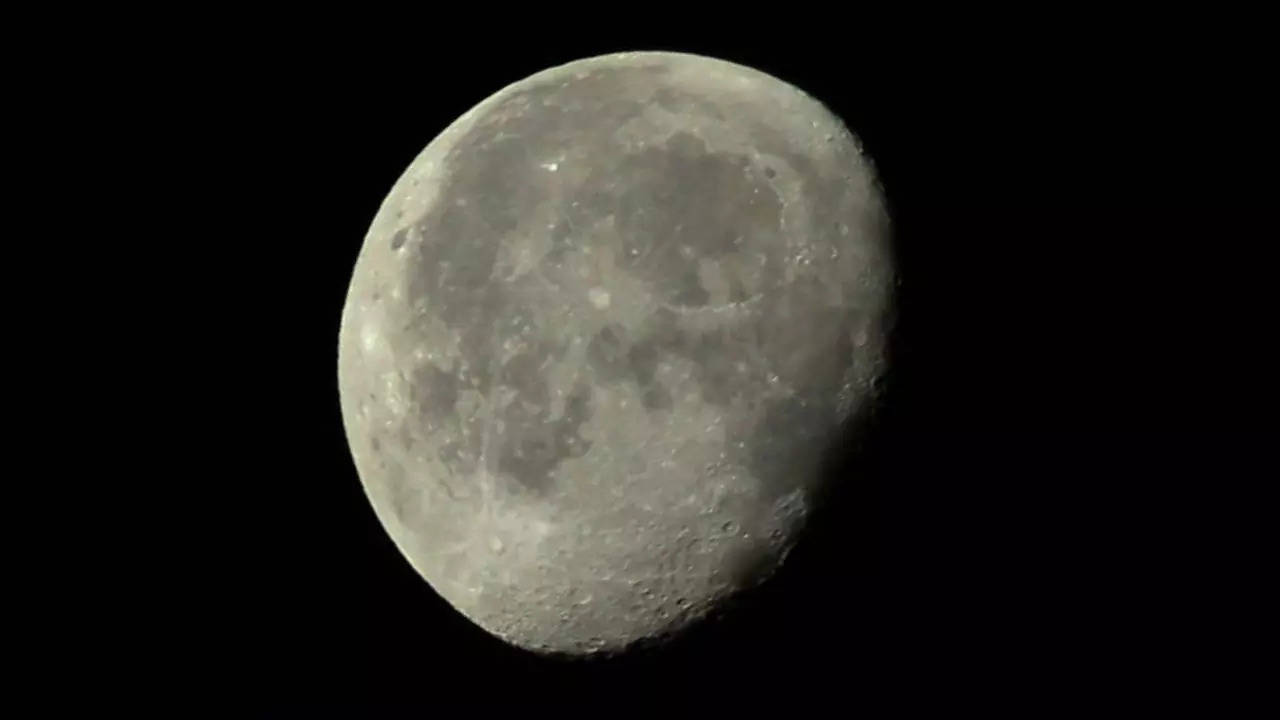 Gibbous Moon