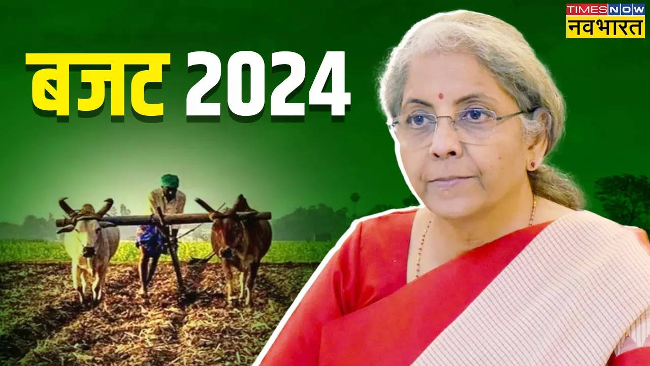 SKM On Budget 2024: क्या बैकडोर से सरकार लाएगी कृषि कानून, जानें संयुक्त किसान मोर्चा ने क्यों कहा ऐसा