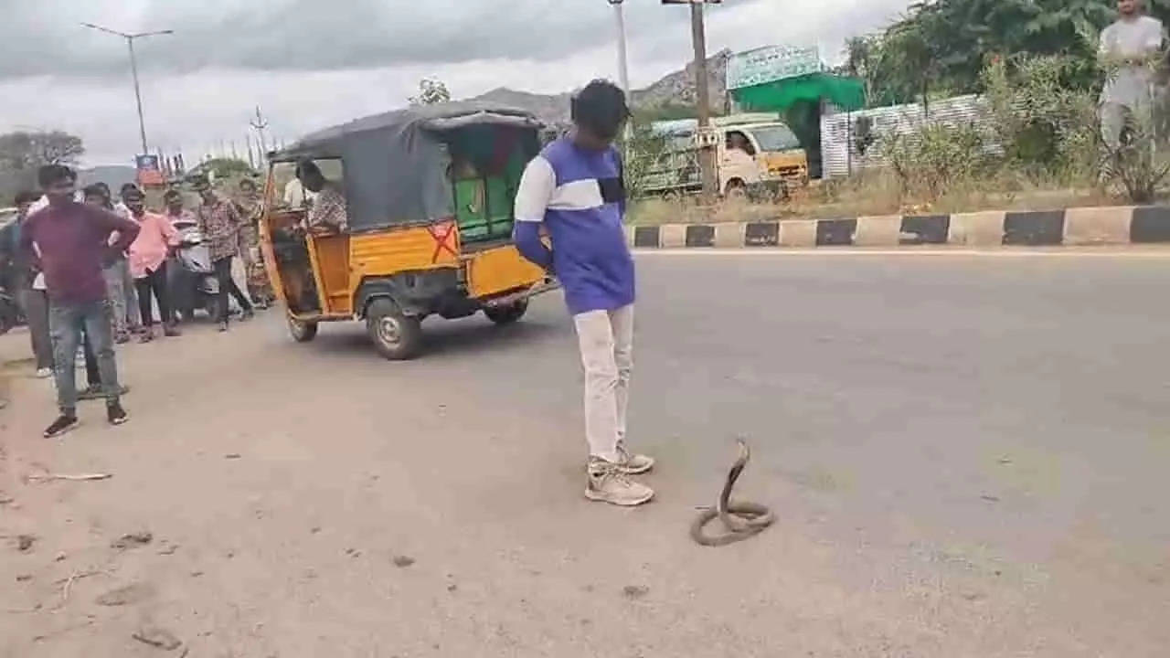 Man Playing With Snake