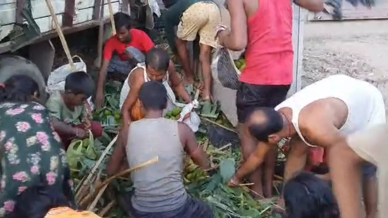 Vegetables looted in Patna