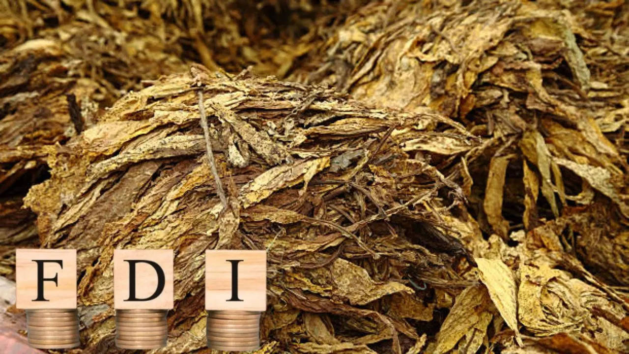 FDI In Tobacco Sector