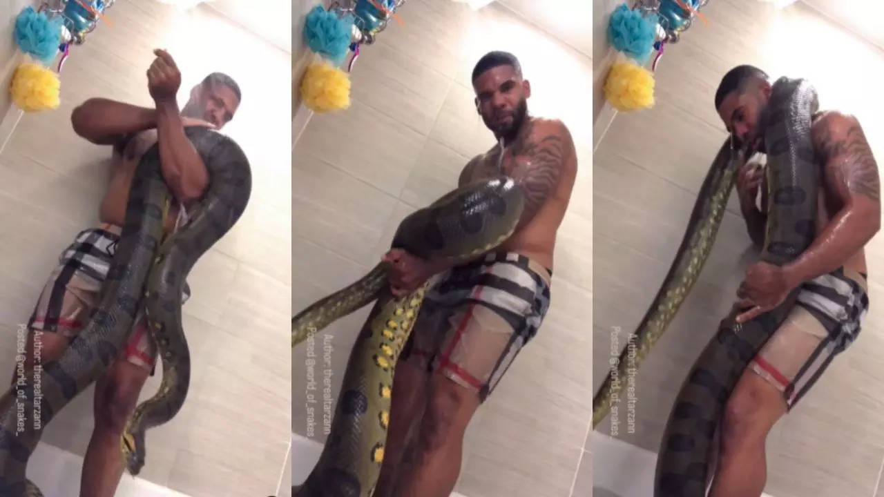 Bathing With Green Anaconda