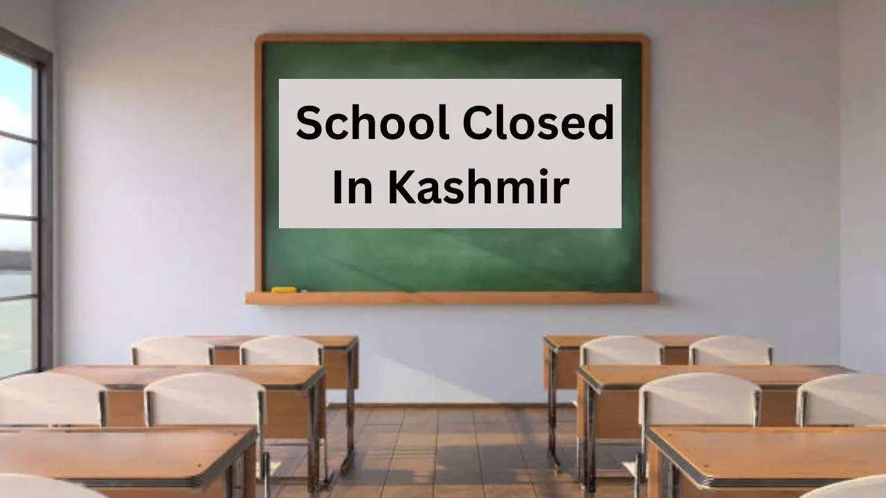 Kashmir School Closed, School Closed In Kashmir