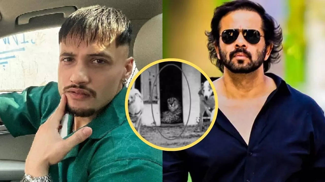 Asim Riaz Cryptic Post Amid Fight With Rohit Shetty