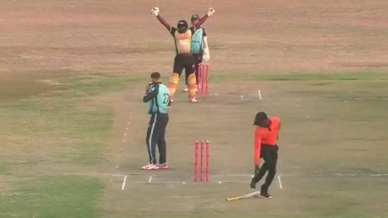 Zimbabwe Cricket Umpire Injured Viral Video