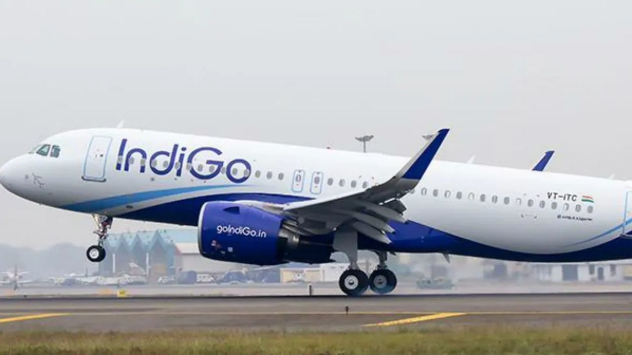 indigo business class