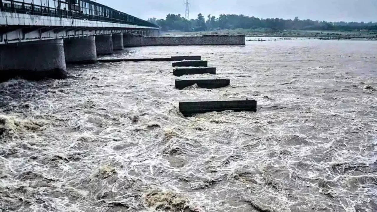 Hathini Kund Barrage