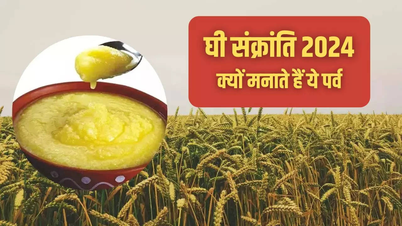 ghee sankranti 2024