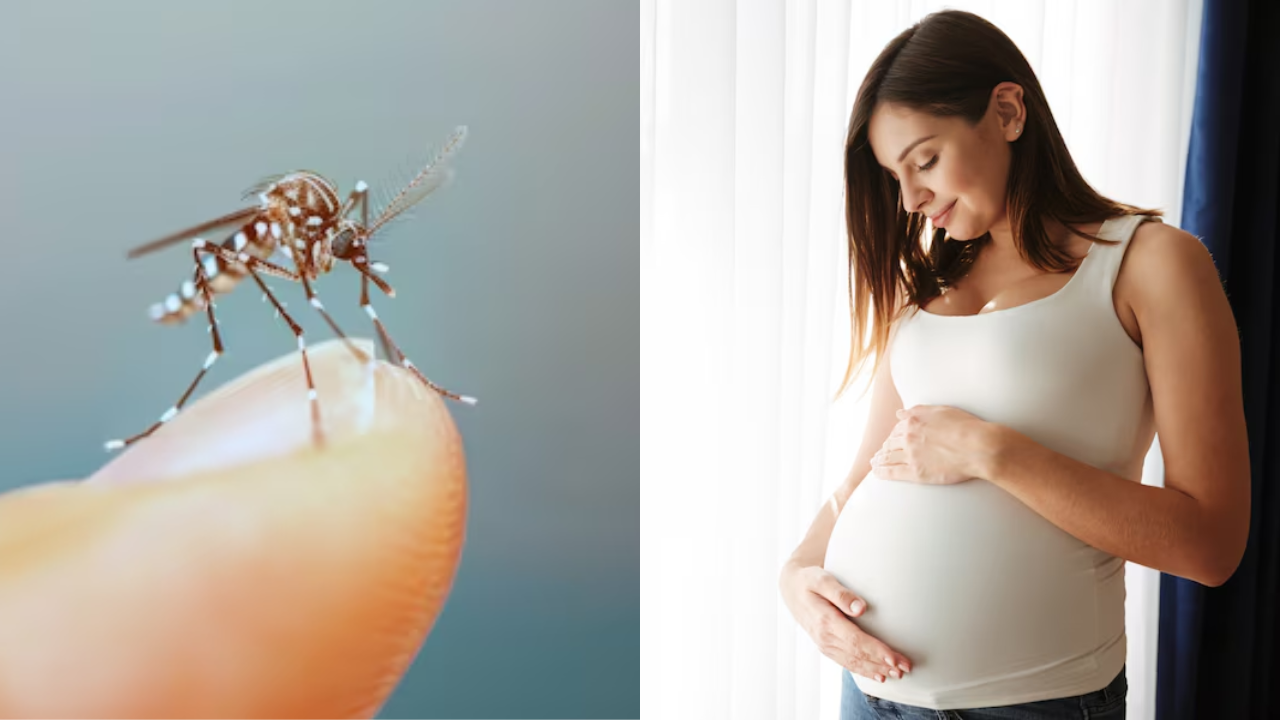 Vaccine To Protect Pregnant Women From Malaria