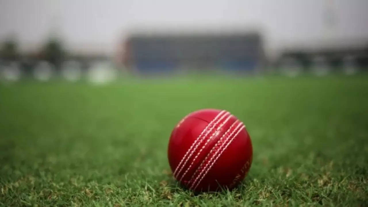 Cricket Ball