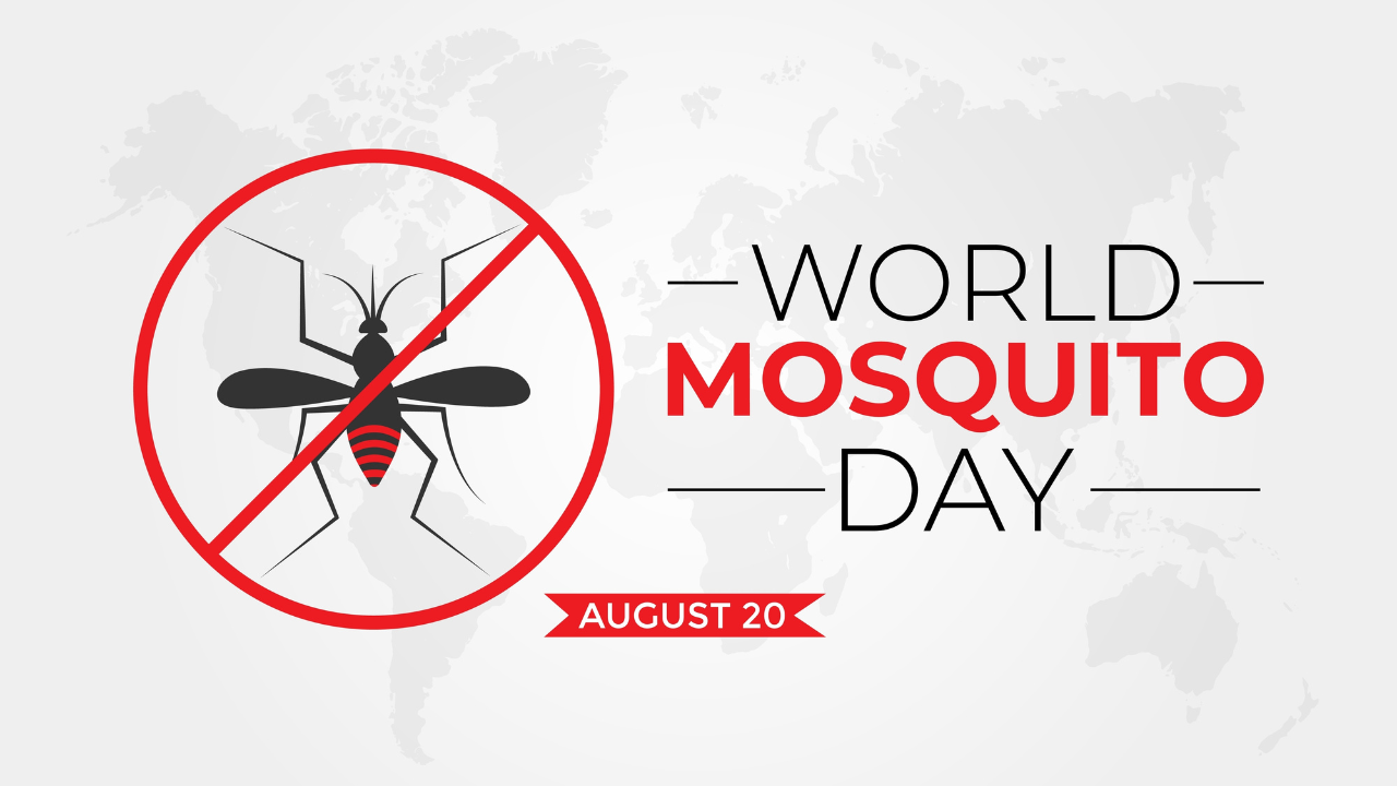 World Mosquito Day 2024