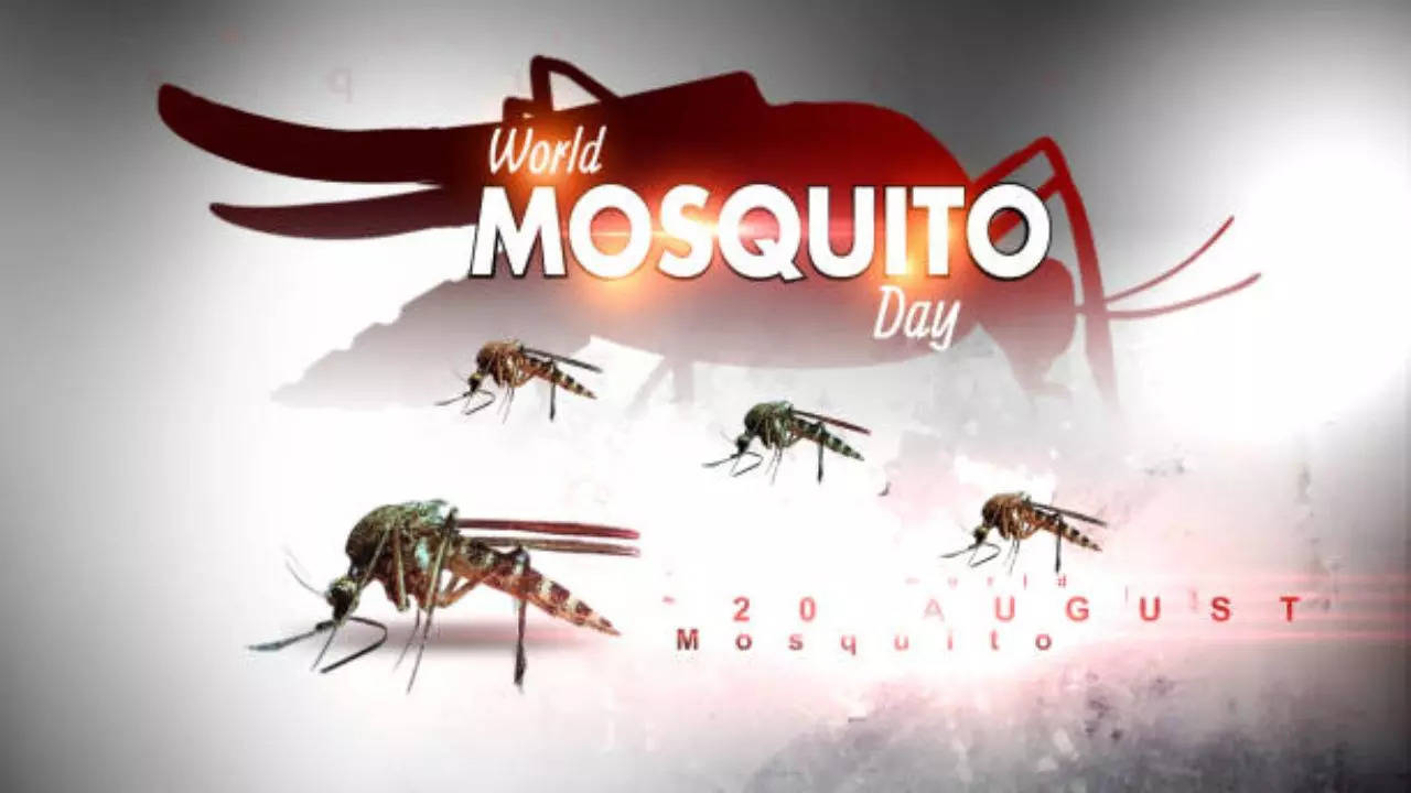 World Mosquito Day 2024 Quotes