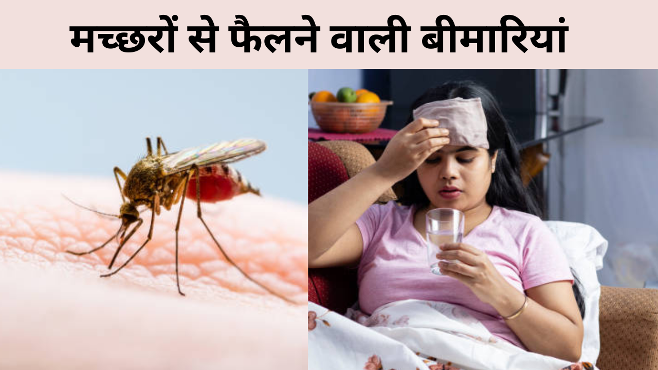 Diseases Spread by Mosquitoes