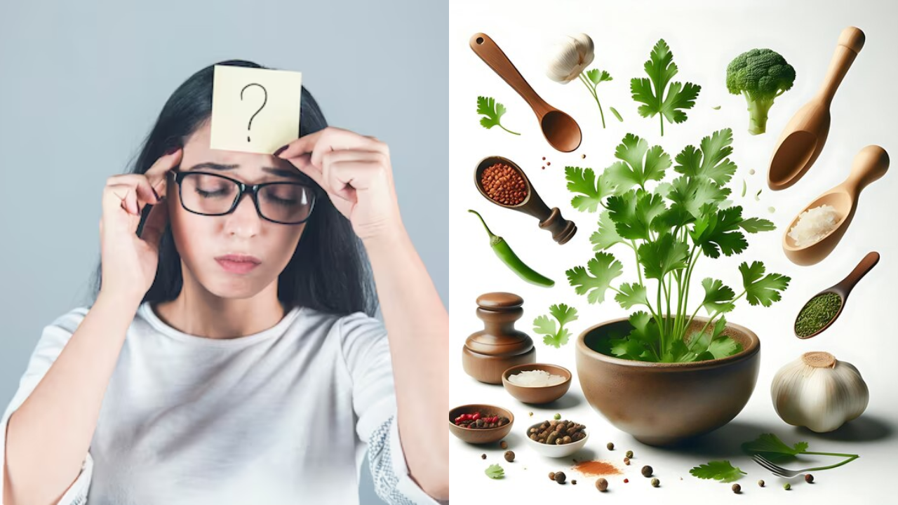 Best Ayurvedic Herbs For Brain In Hindi