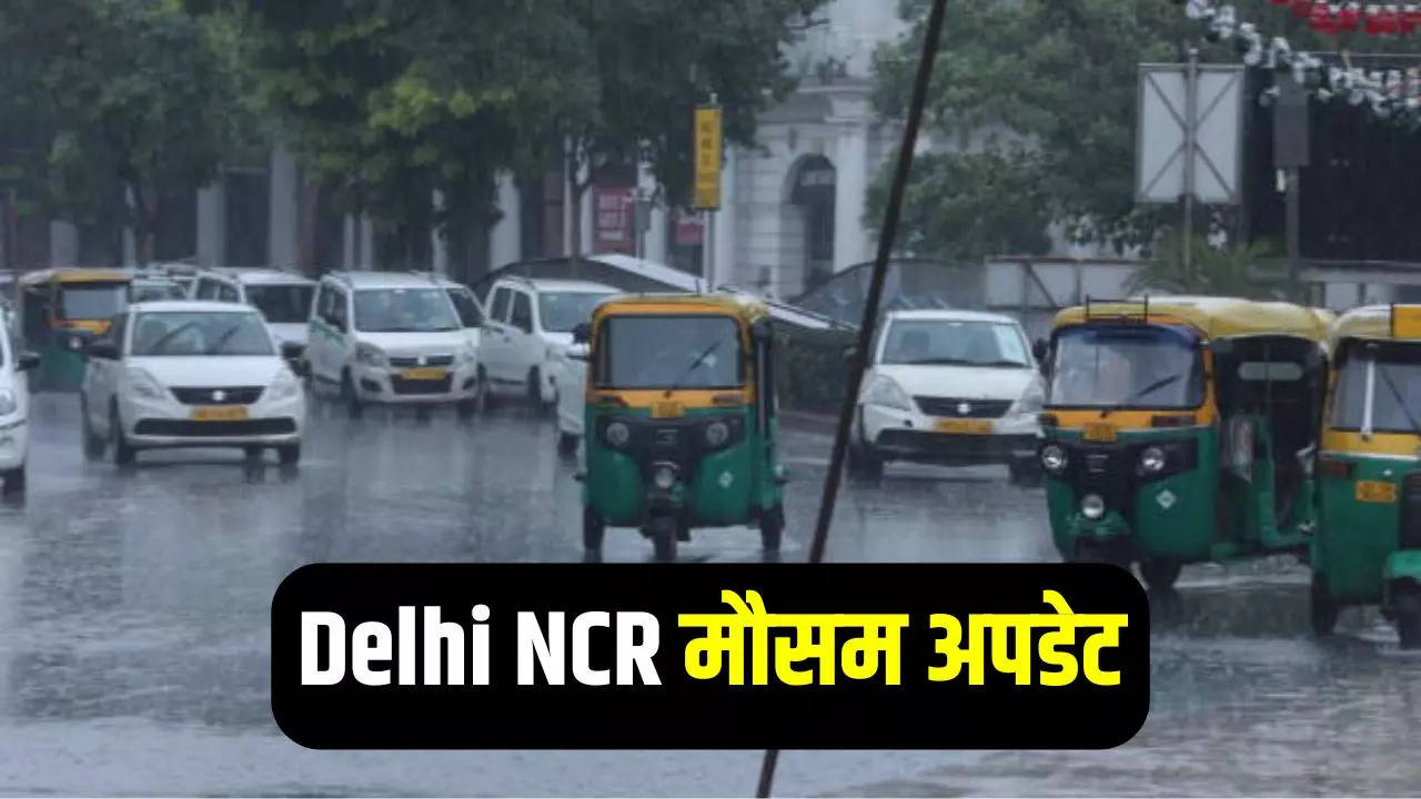 Delhi NCR Weather Updates