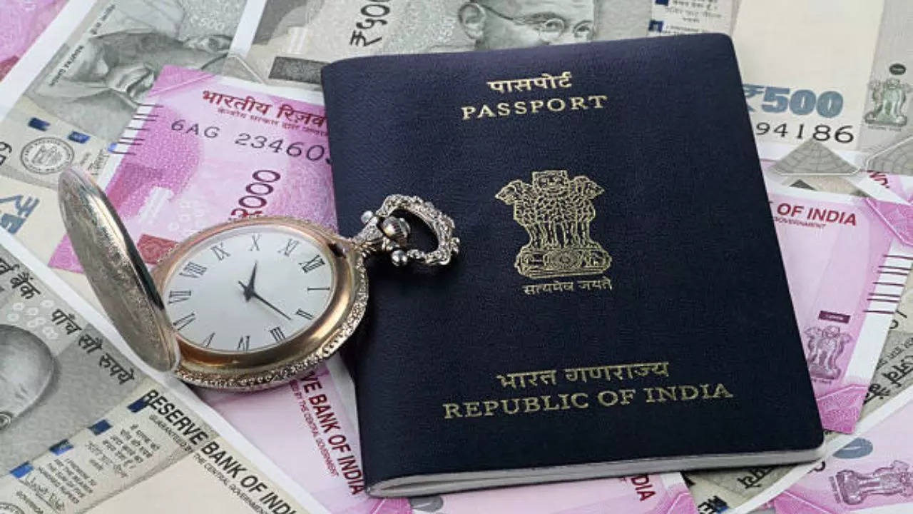 passport seva portal will be closed due to technical maintenance passport services will be affected