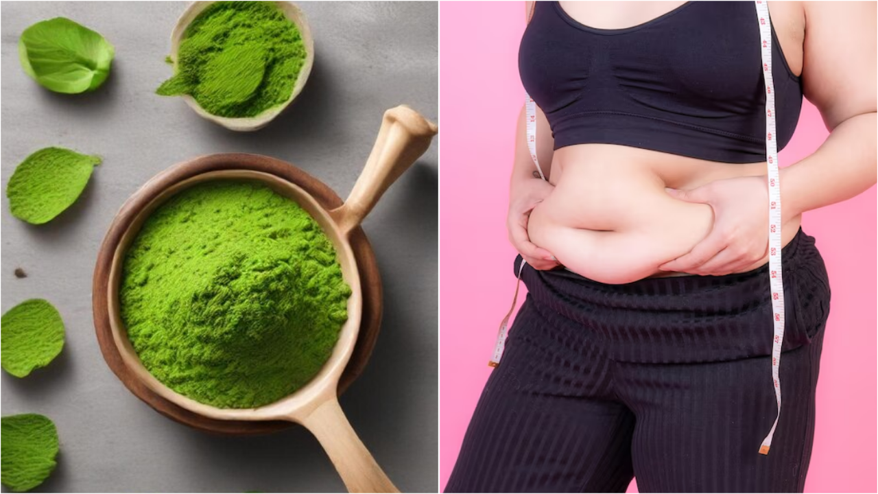 moringa powder in water for weight loss drink pm modi's favorite powder of this green thing mixed in water in the morning for faster weight loss in hindi