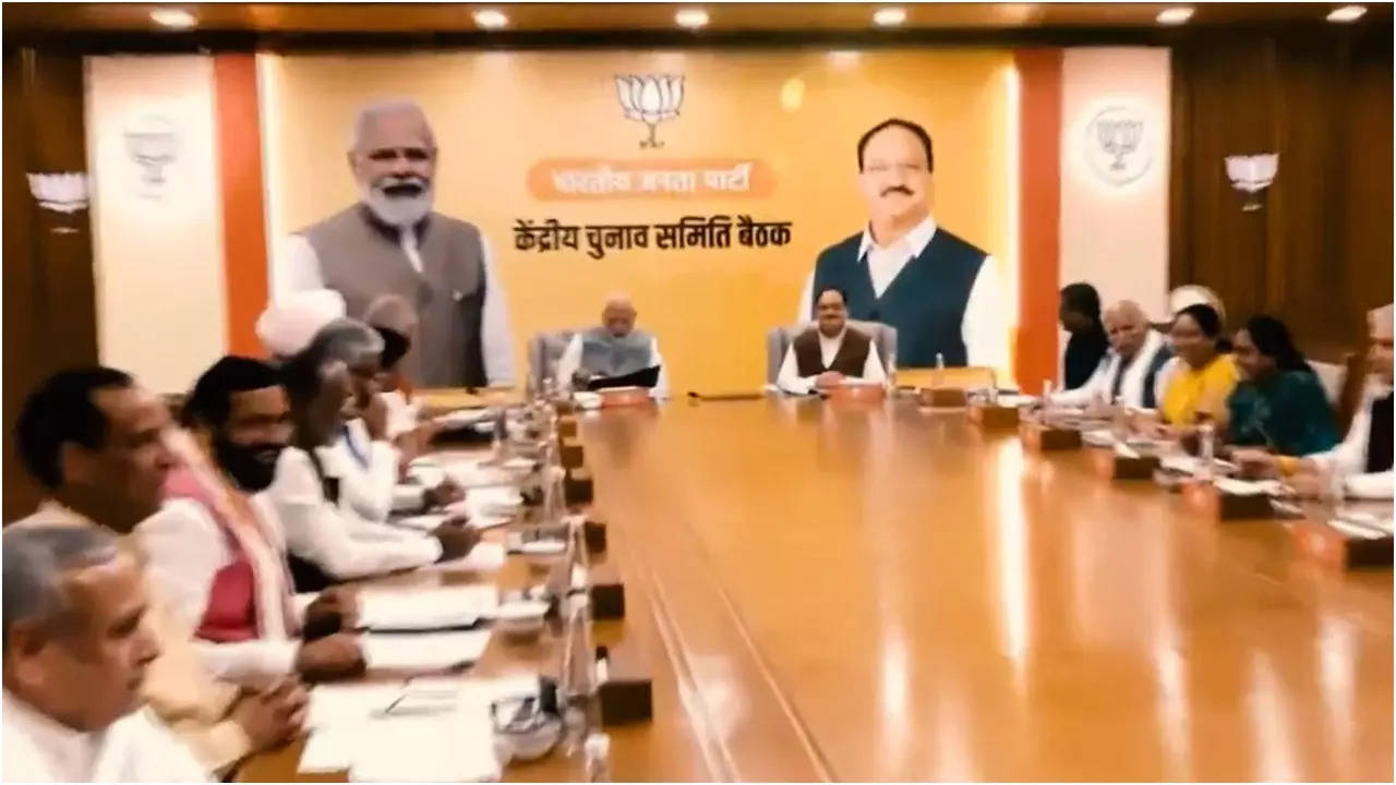 BJP CEC meeting