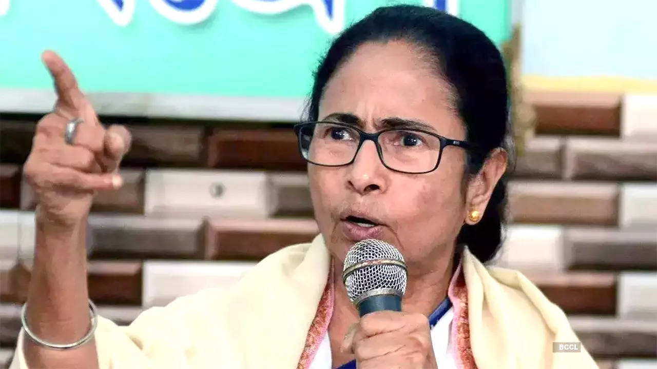 MAMATA BANERJEE WB CM