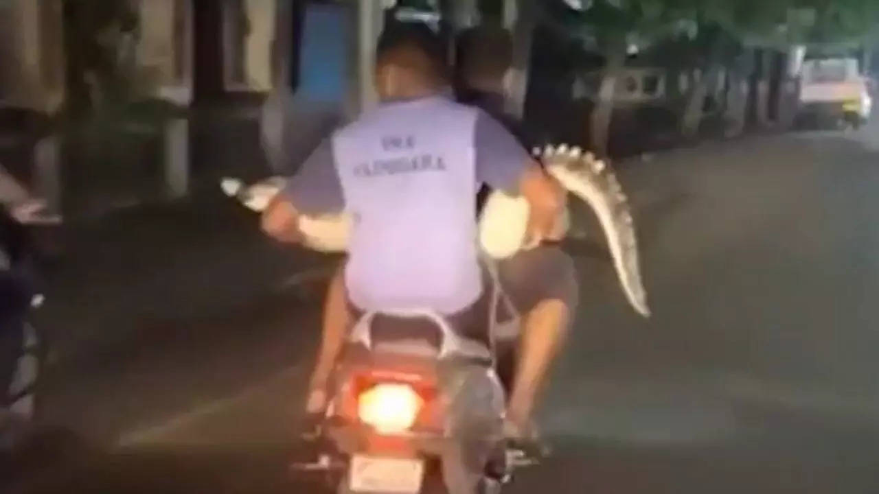 Crocodile Activa Ride