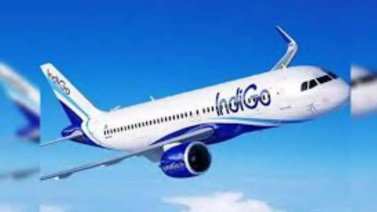 indigo flight divert