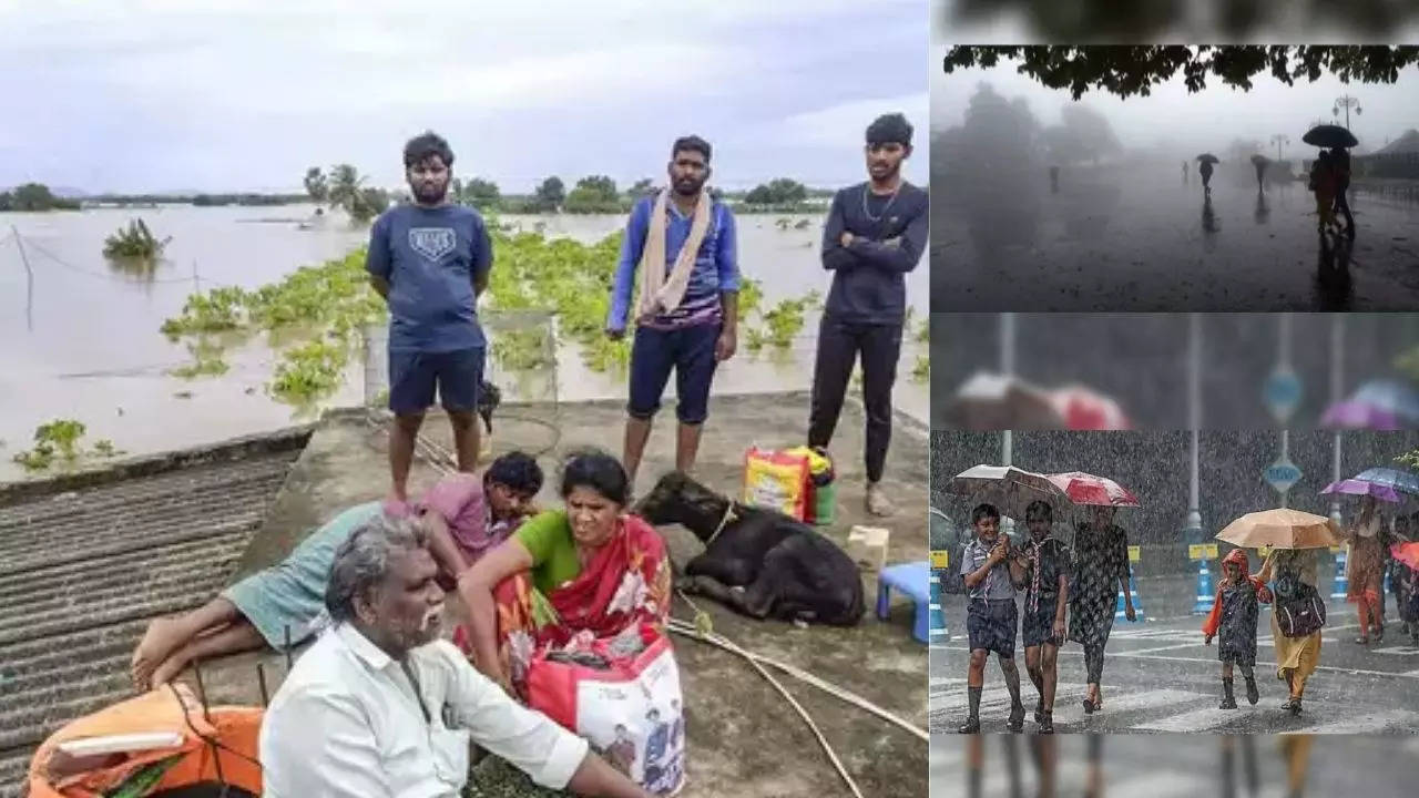 Andhra Pradesh Rain Latest News