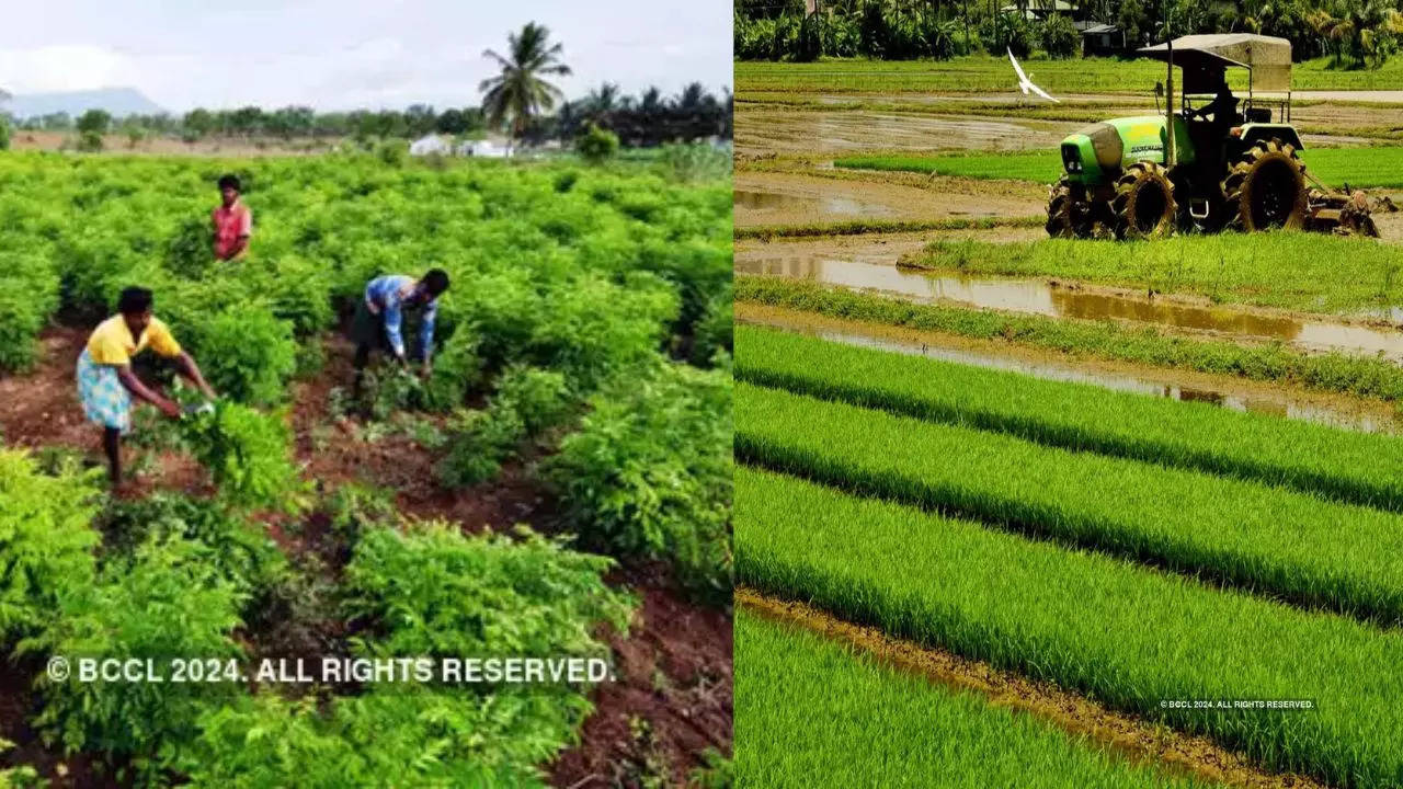 एग्रीटेक स्टार्टअप्स, एग्रीश्योर से होगा किसानों का उत्थान, सरकार देगी 750 करोड़ रुपये का फंड