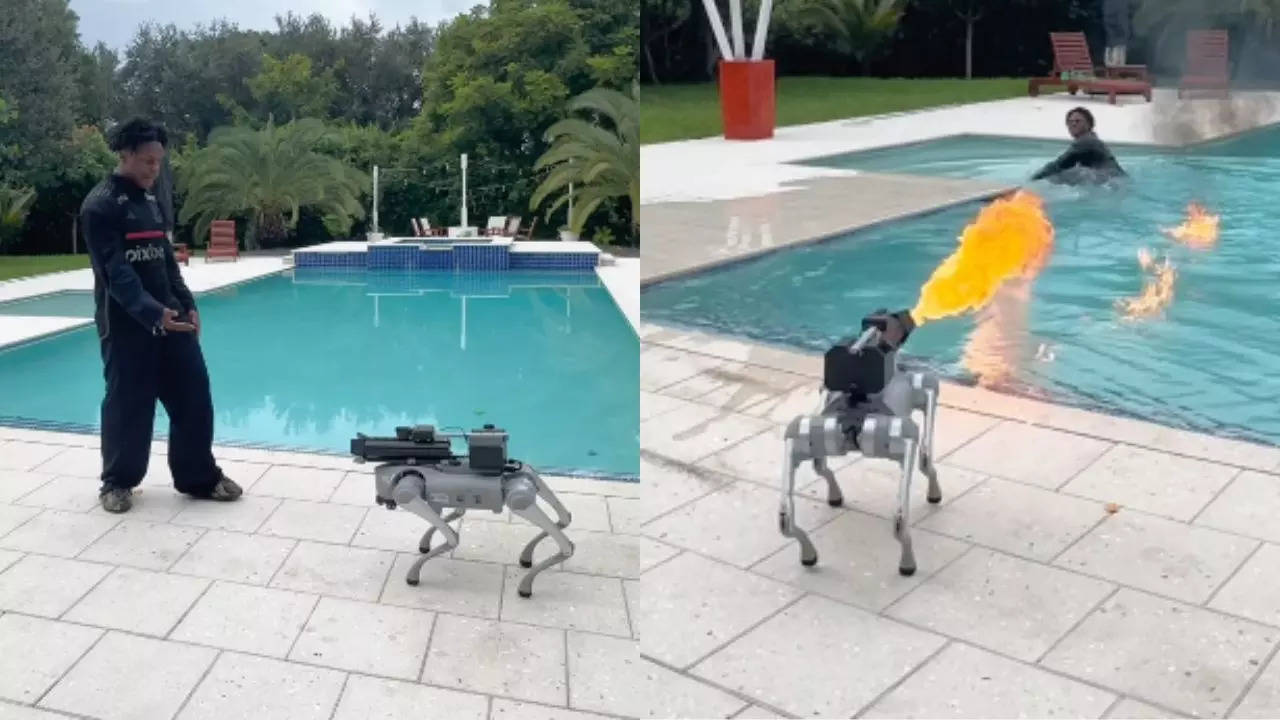 Robot Dog Viral Video