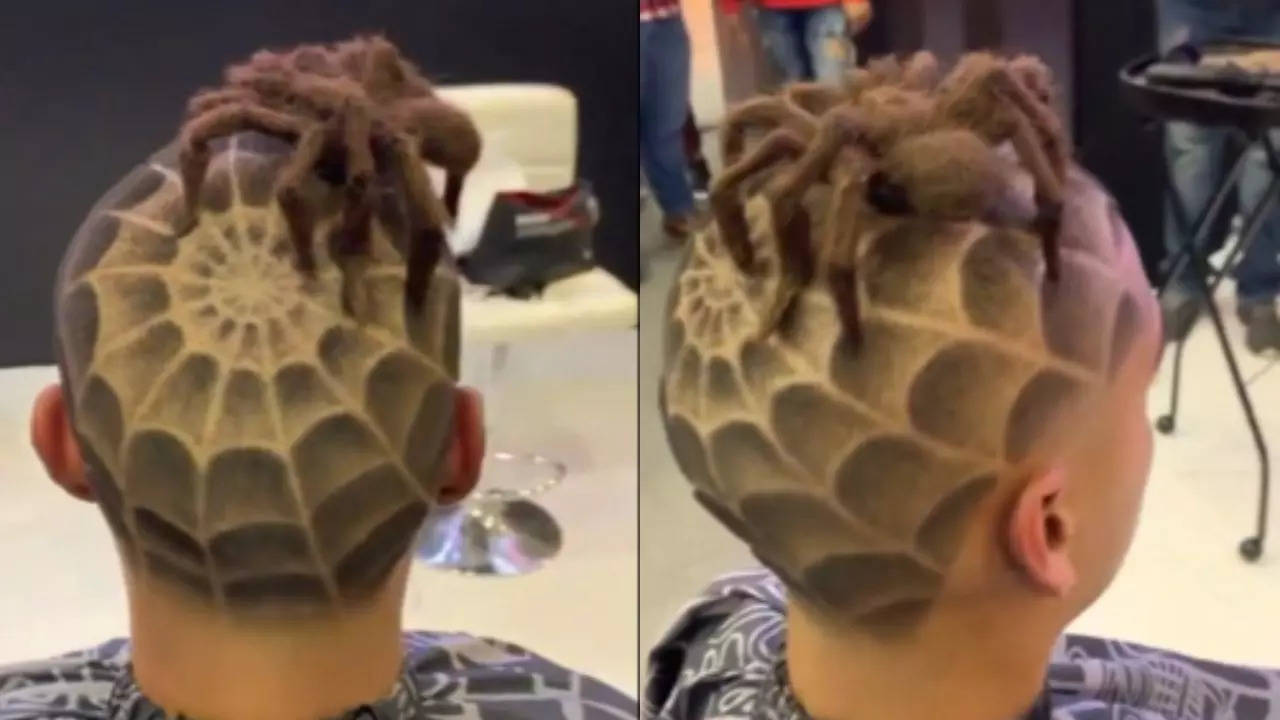 Spider Hairstyle Viral Video