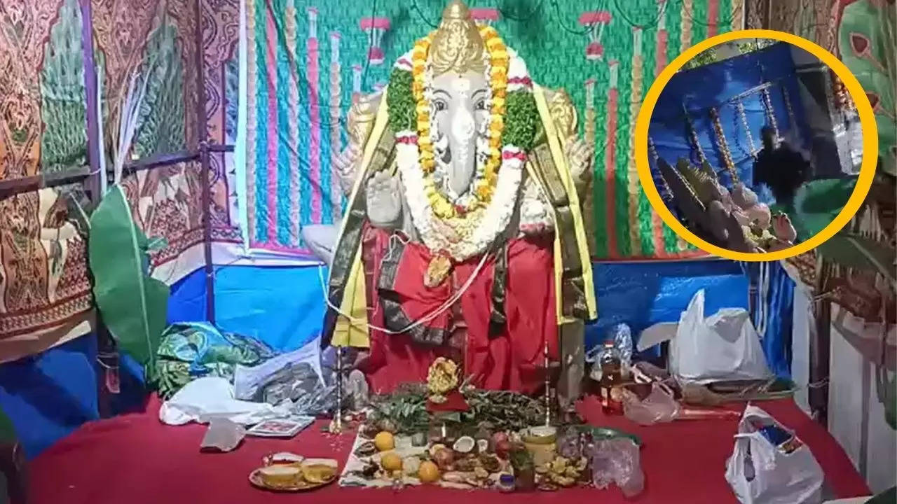 today trending video thief stole ganpati huge laddu in hyderabad cctv footage