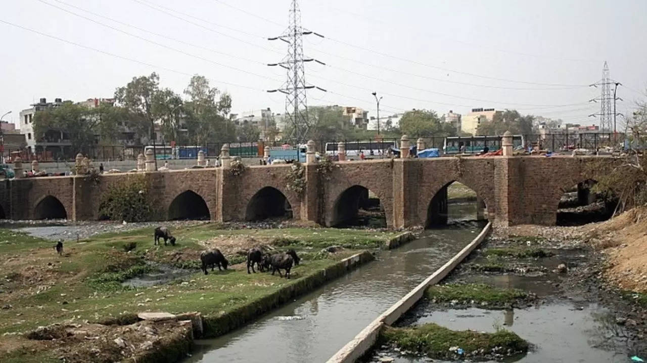 Barapula Bridge