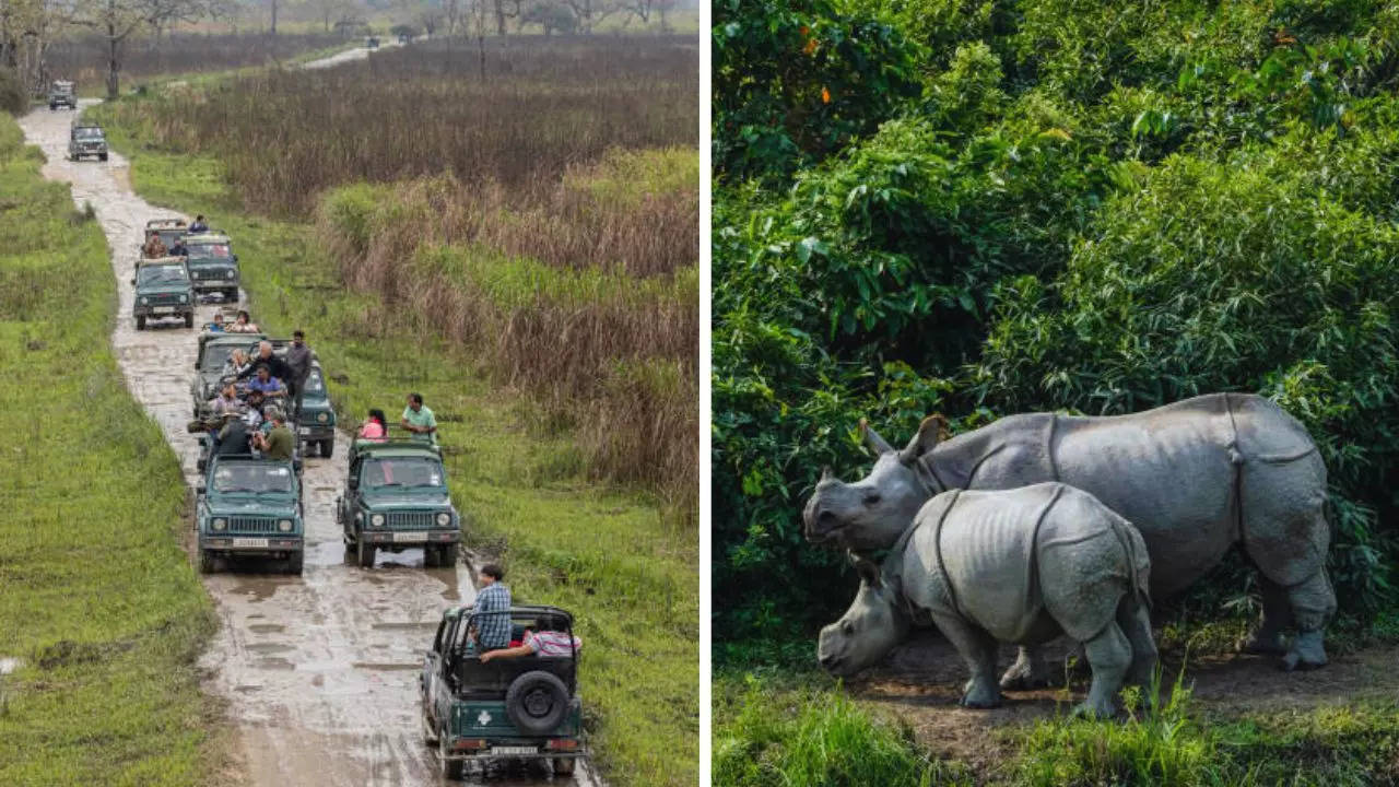 Kaziranga National Park