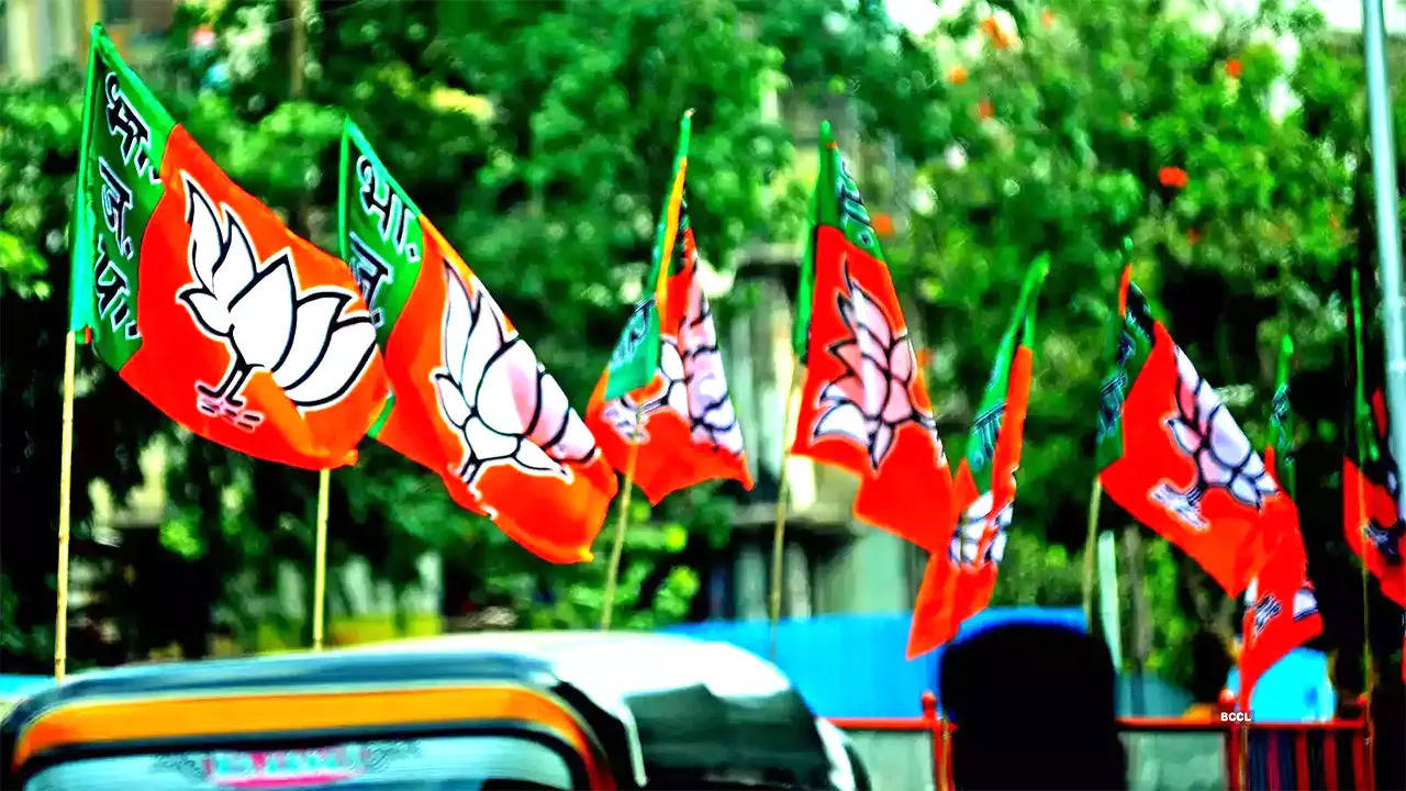 haryana elections bjp releases third and final list of haryana candidates